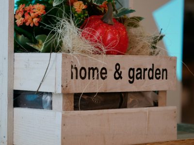 Home & Garden