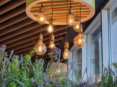 Lights & Lighting